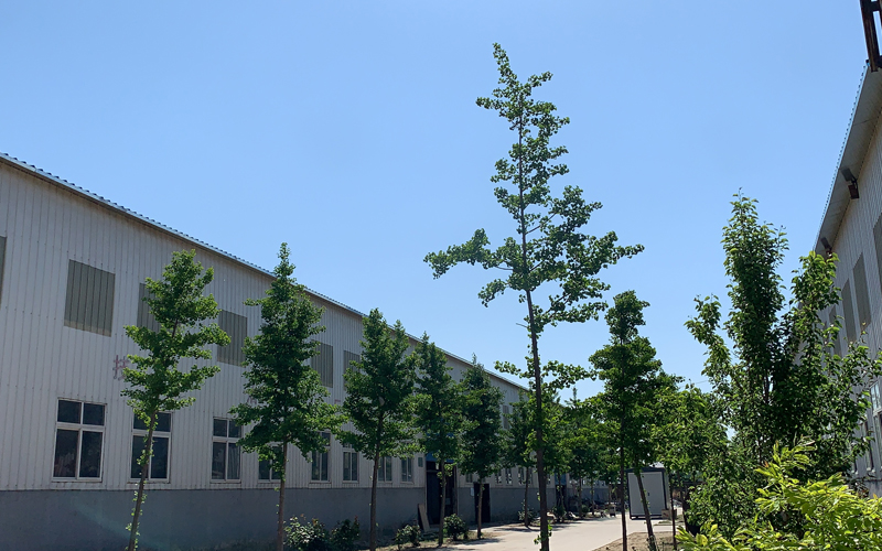 未標(biāo)題-1.jpg